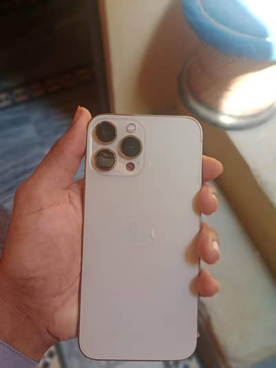 Apple iPhone 13 Pro Max