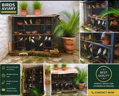 premium aviary cage for sale without birds