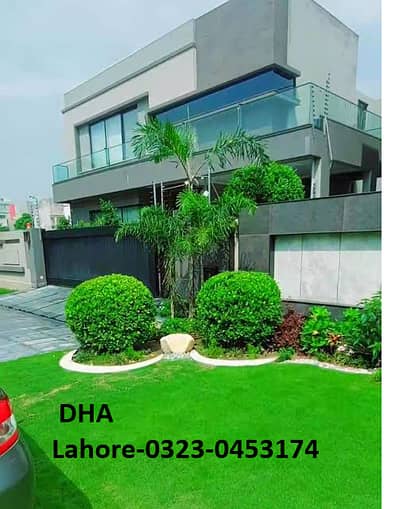 Korean Grass | Fine Dhaka Grass | Plants | Landscaping | in all pak