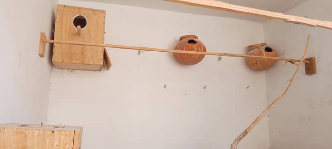cocktail breeding box and matki