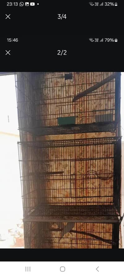 parrots cages