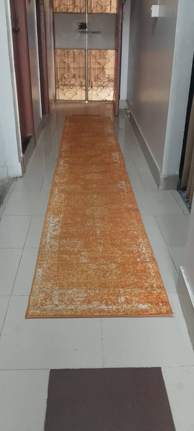 RUNNER RUG CARPET / HALL RUNNER 0.3. 1.4. 2.3. 0.1.4.6. 8