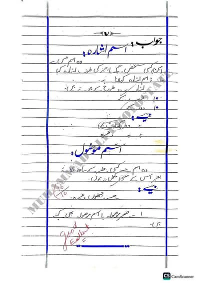 Aiou spring Assingement