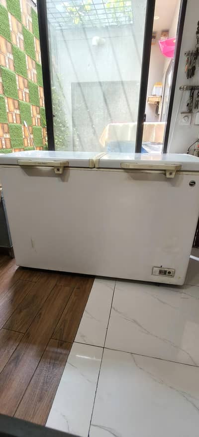 PEL jumbo deep freezer.