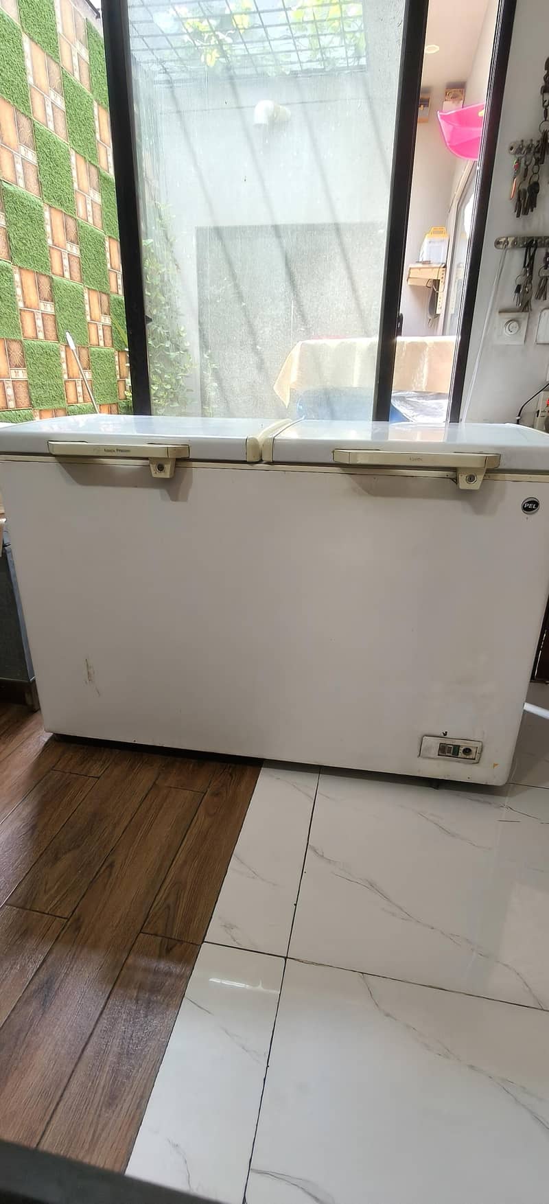 PEL jumbo deep freezer. 0