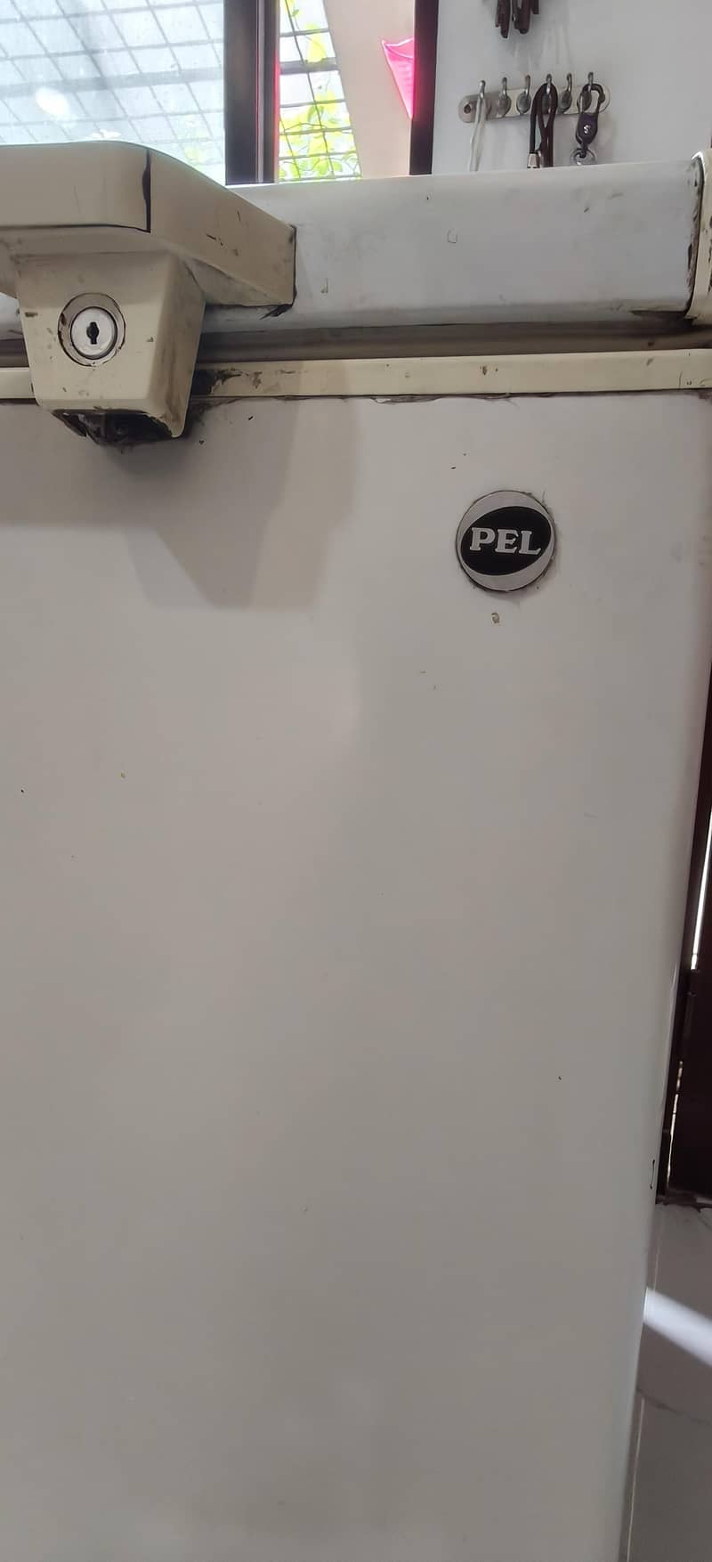 PEL jumbo deep freezer. 1