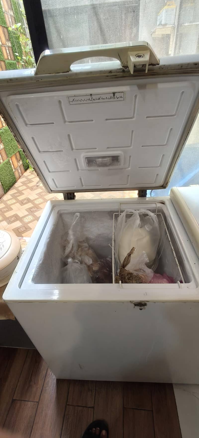 PEL jumbo deep freezer. 3