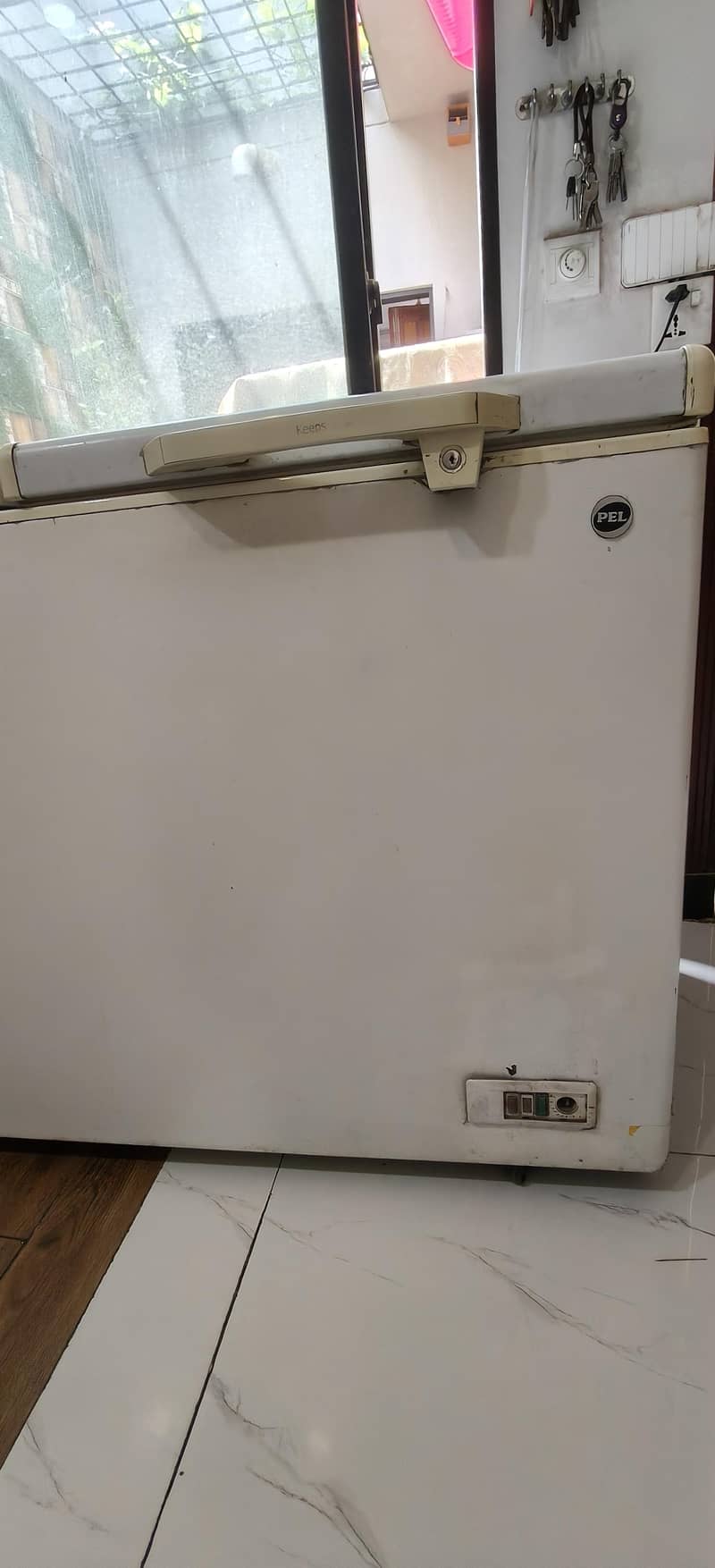 PEL jumbo deep freezer. 5