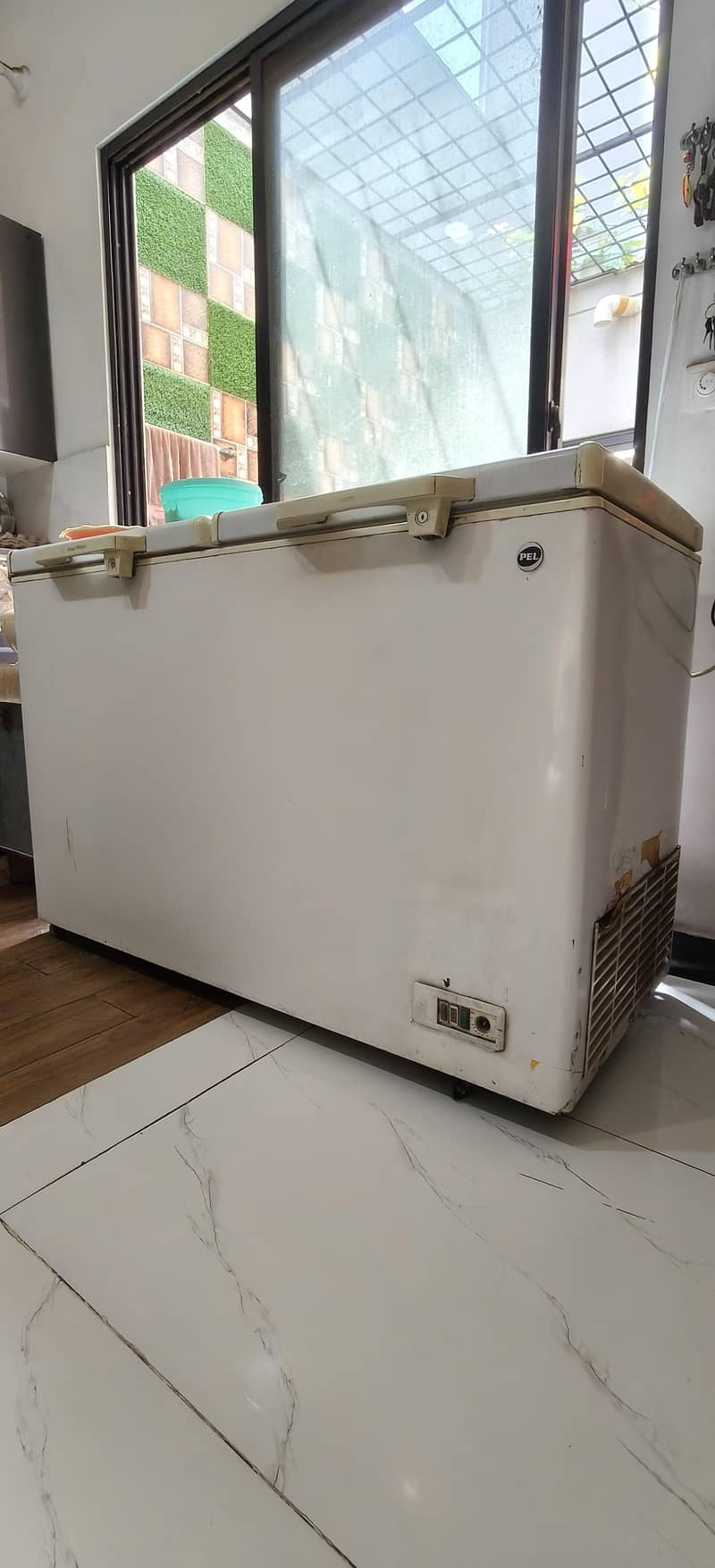 PEL jumbo deep freezer. 6