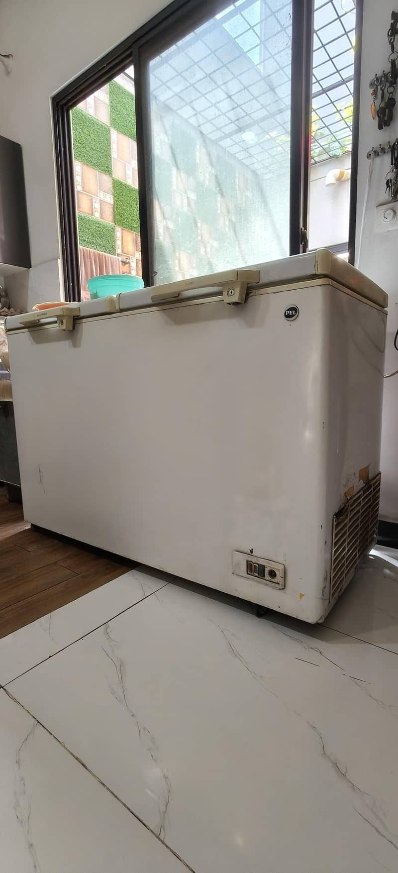 PEL jumbo deep freezer. 12