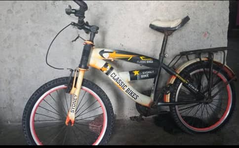 medium size cycle
