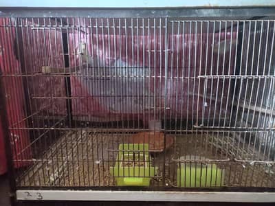 Breeder cage for sale