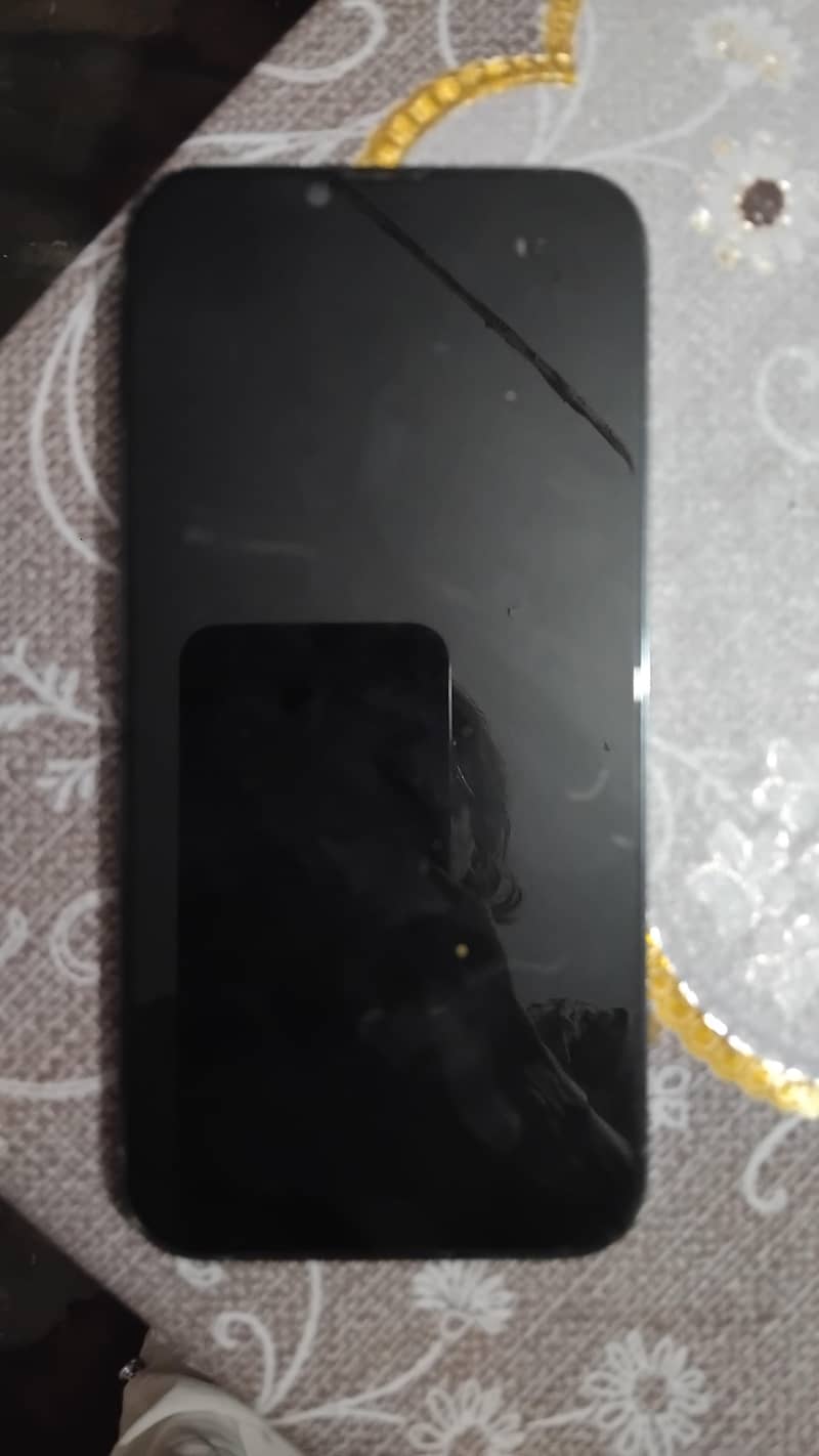Apple iPhone 13 Pro Max 1