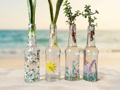 Handmade Bottle Gardens – Living Décor
