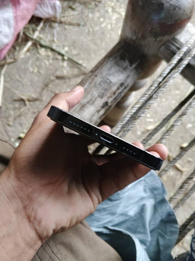 Apple iPhone 12 Pro Max 1