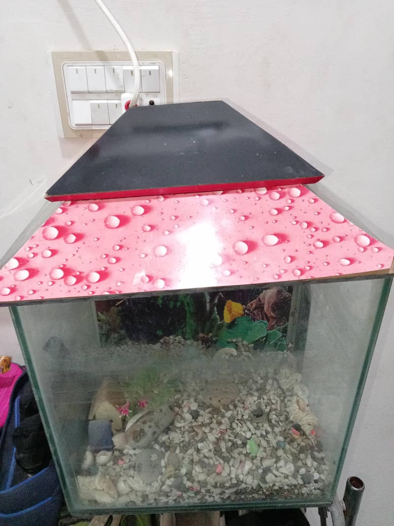 Aquarium 0