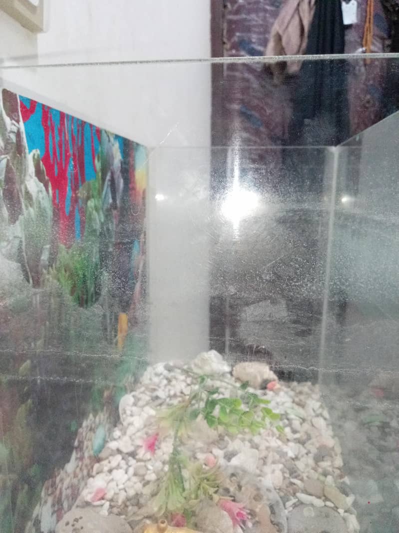 Aquarium 2