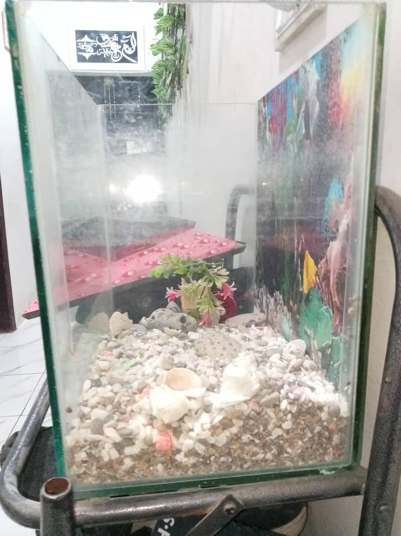 Aquarium 4