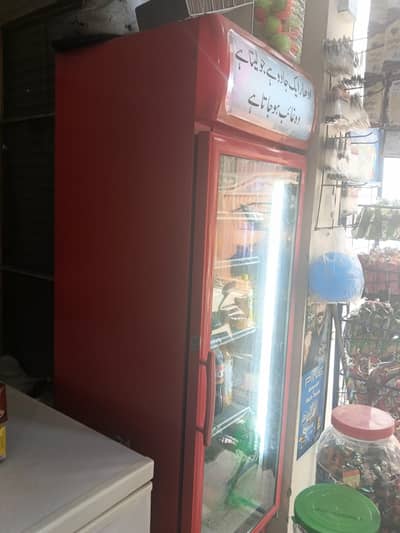 chiller  cold drink  freezer