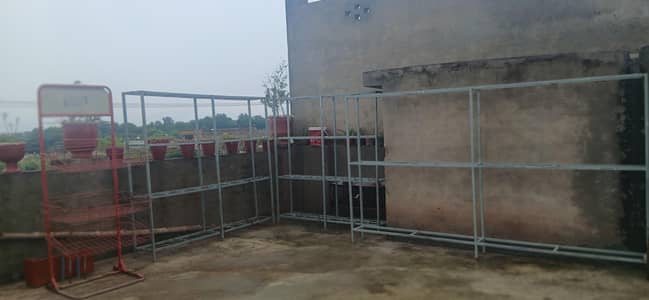 janglay ha shop wala new