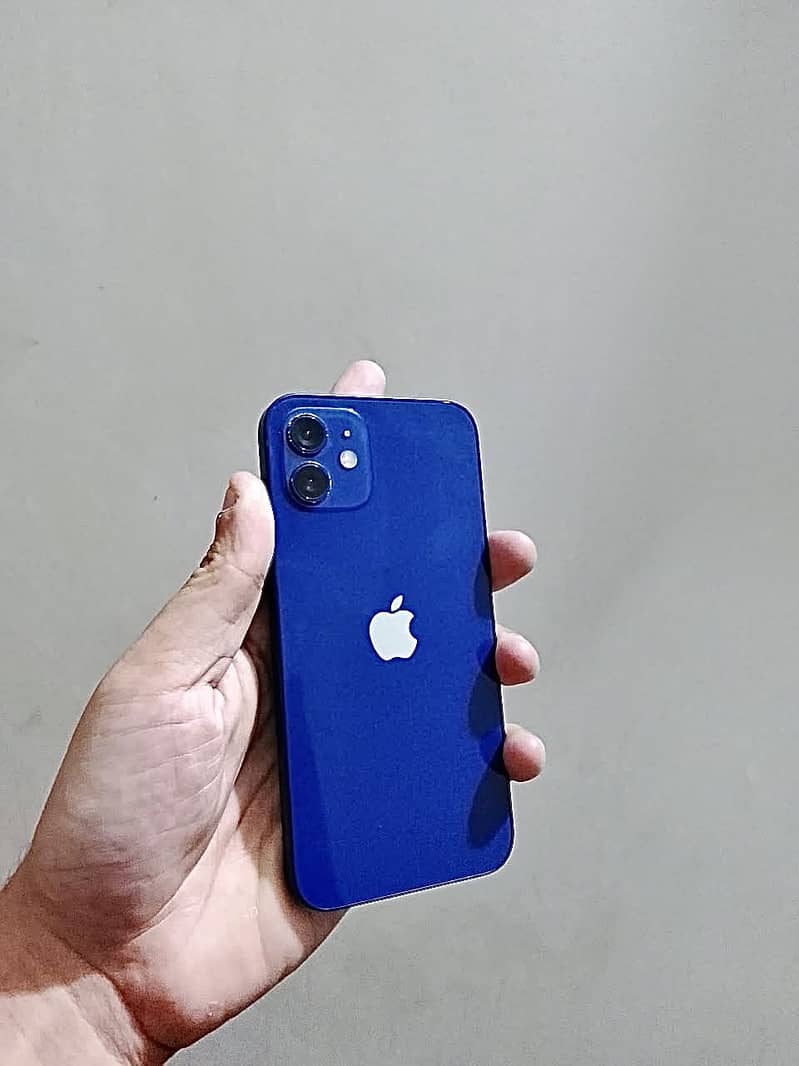 iPhone 12 1