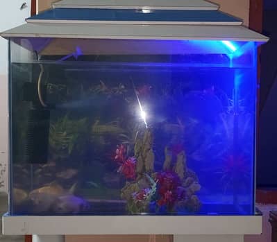 Fish Aquarium For Sale