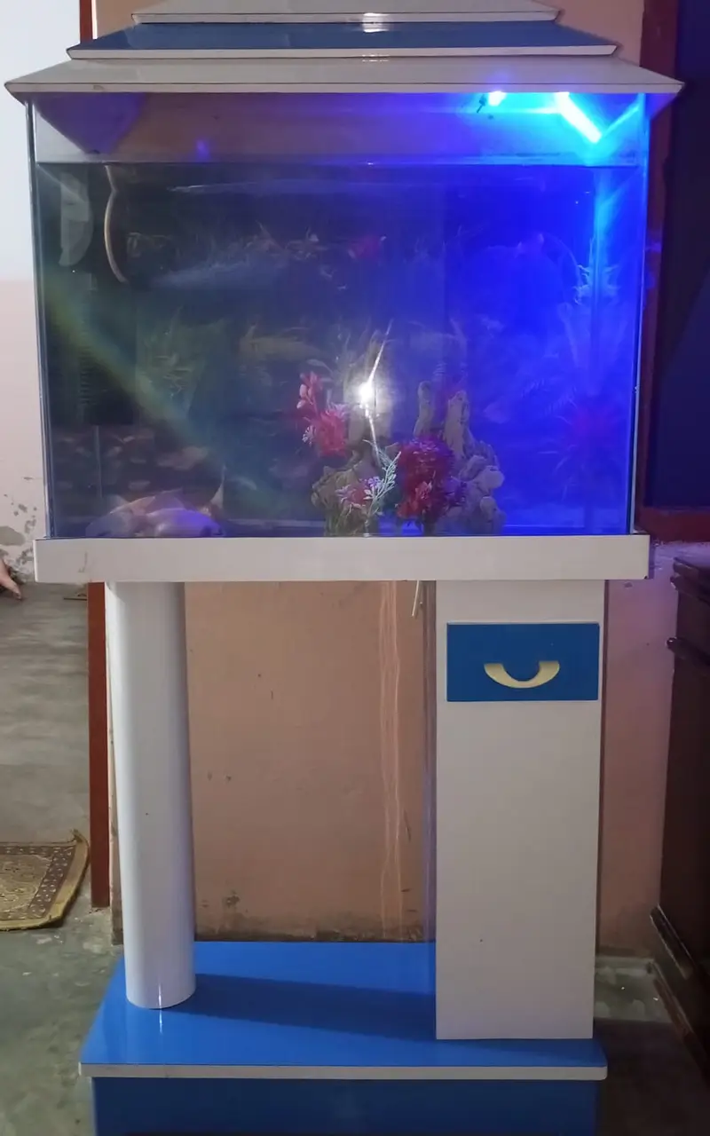 Fish Aquarium For Sale — photo 2
