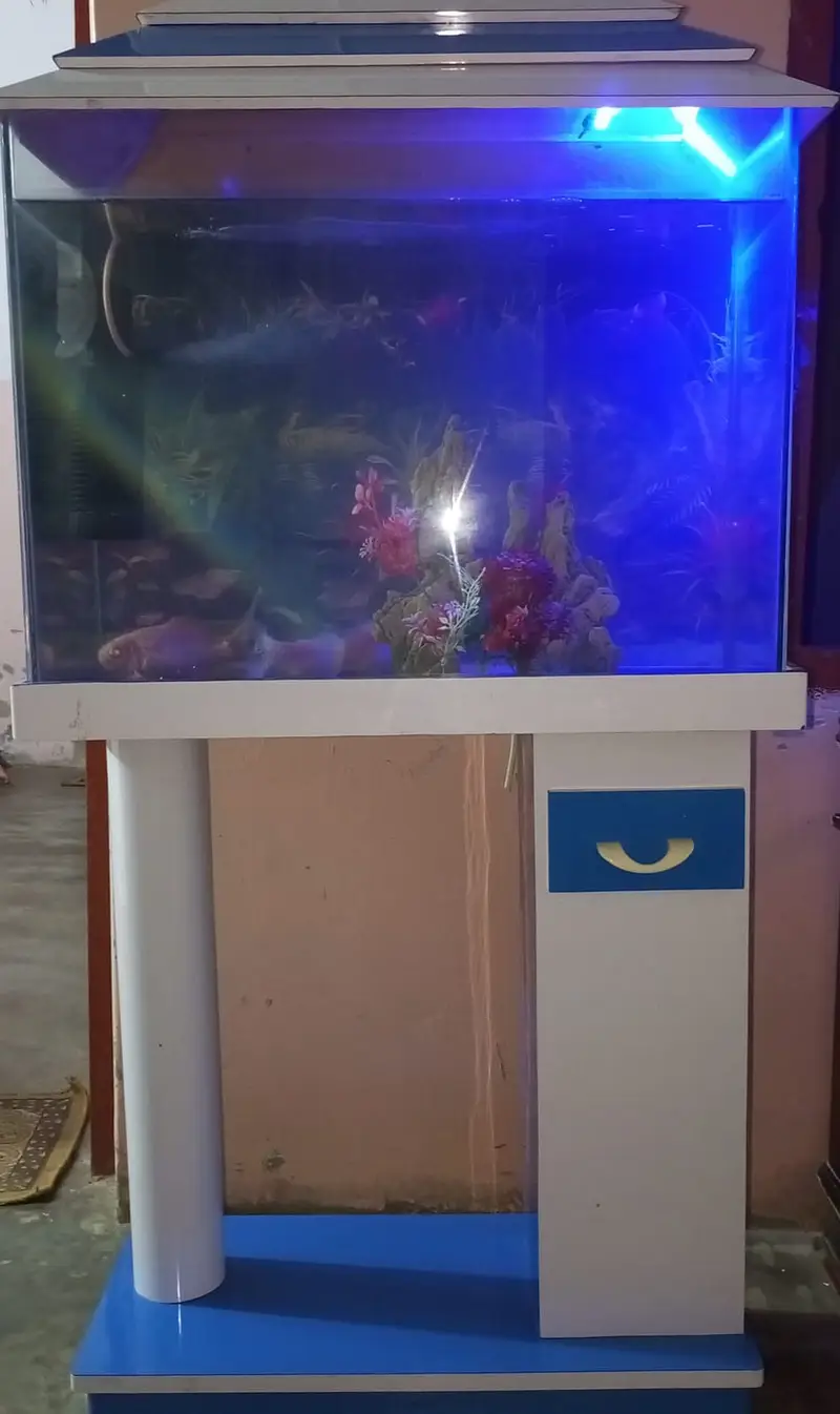 Fish Aquarium For Sale — photo 4