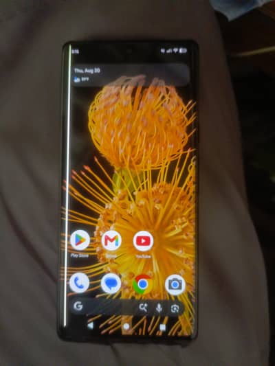 Google Pixel 6 Pro pta approved