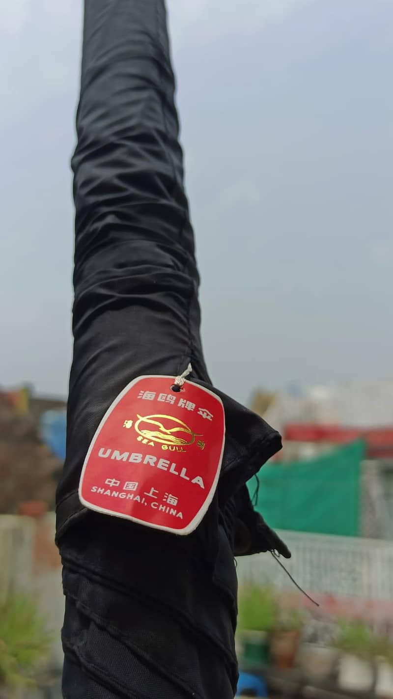 Umbrella 3