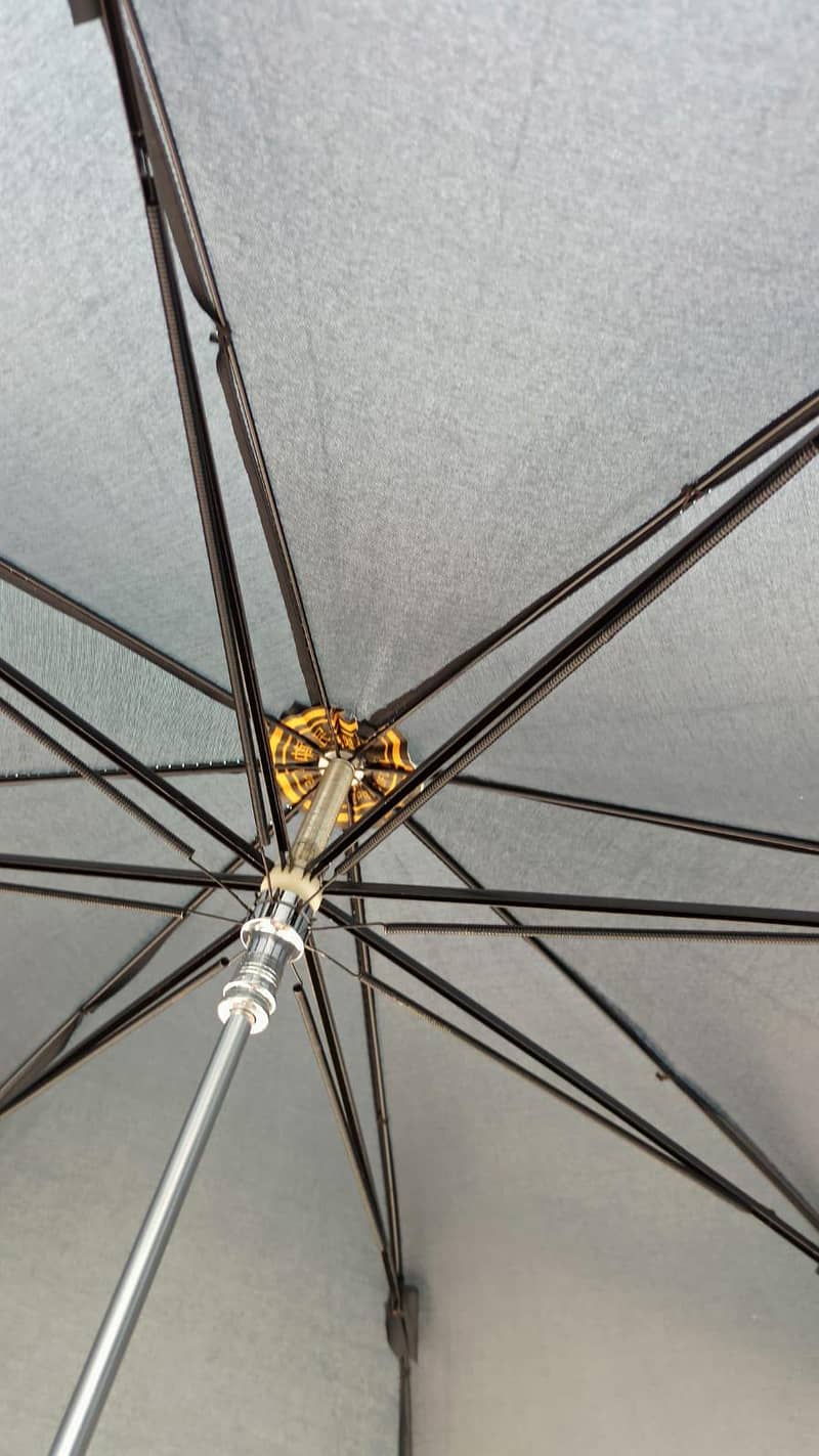 Umbrella 4