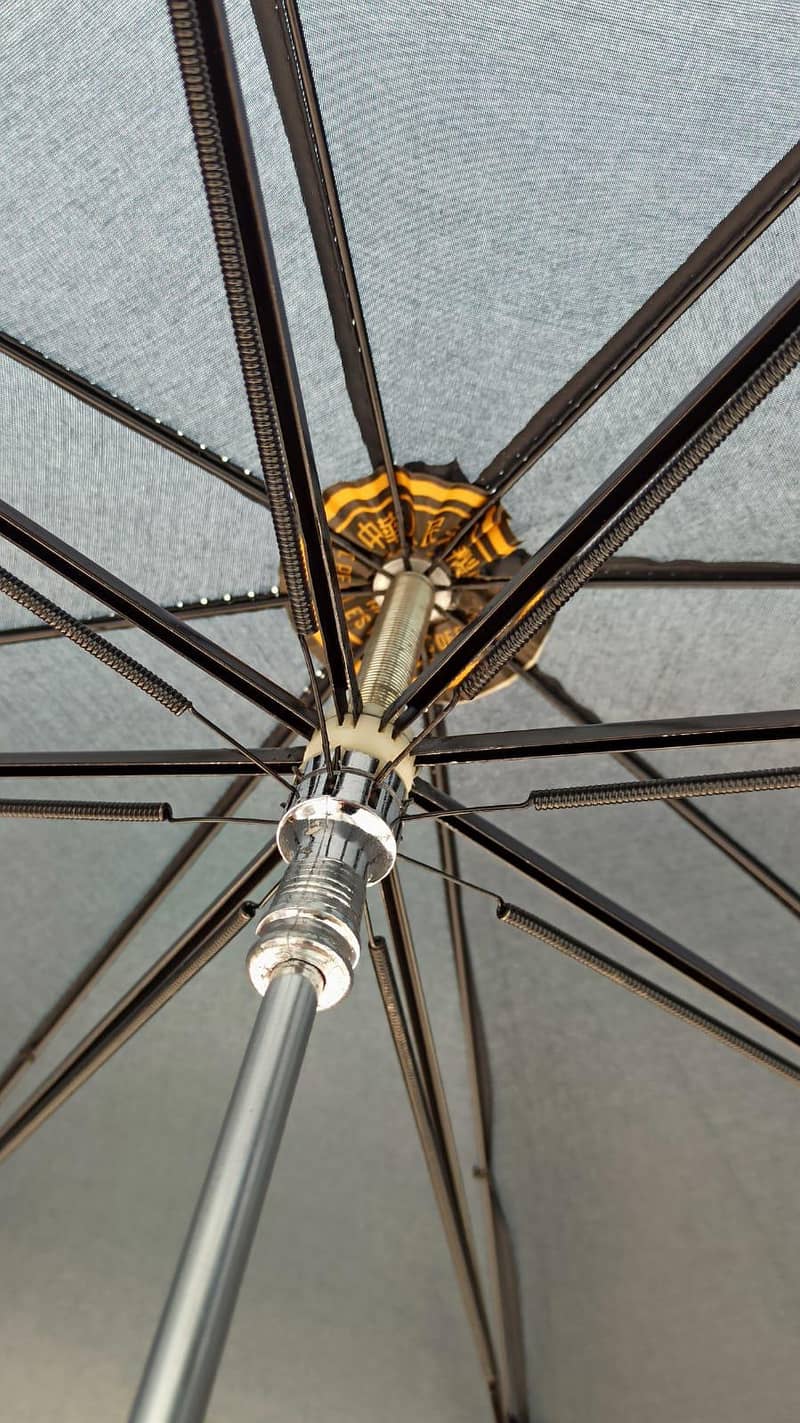 Umbrella 5