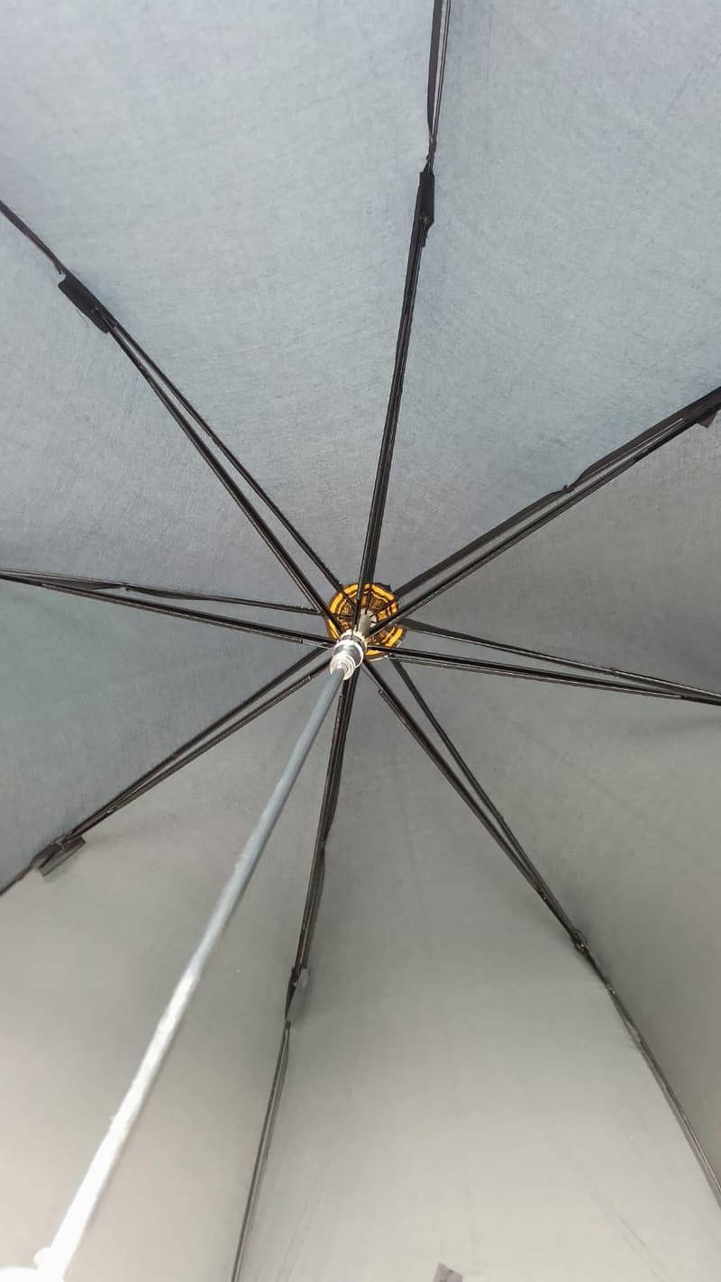 Umbrella 6