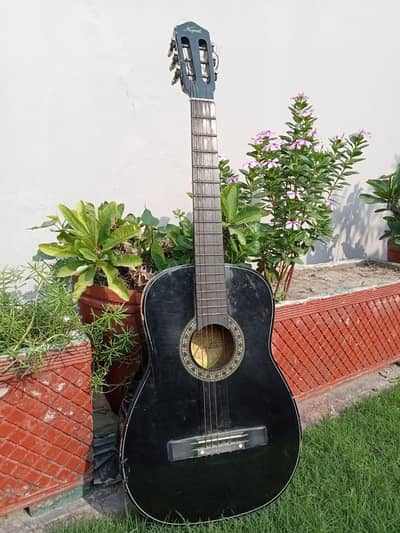 Gutair with cover