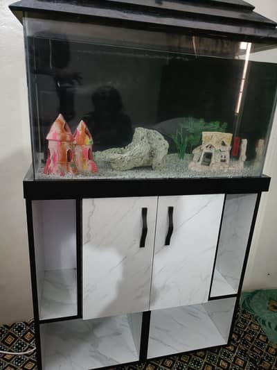 2.5 Feet Complete Aquarium| Fish Tank Setup with Cabinet |filter