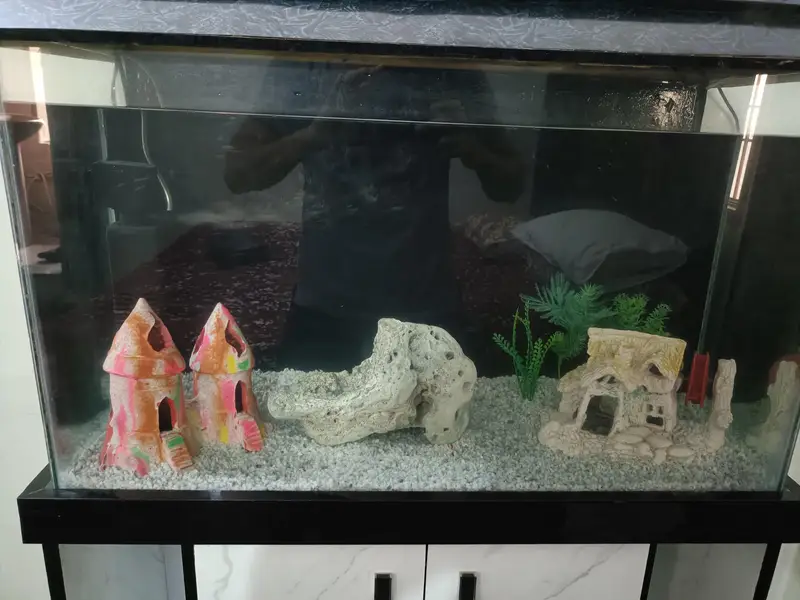2.5 Feet Complete Aquarium| Fish Tank Setup with Cabinet |filter — photo 2
