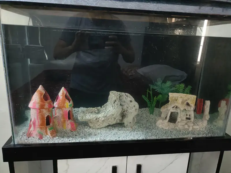 2.5 Feet Complete Aquarium| Fish Tank Setup with Cabinet |filter — photo 3