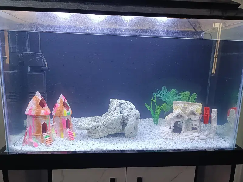 2.5 Feet Complete Aquarium| Fish Tank Setup with Cabinet |filter — photo 4