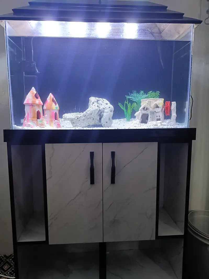 2.5 Feet Complete Aquarium| Fish Tank Setup with Cabinet |filter — photo 5
