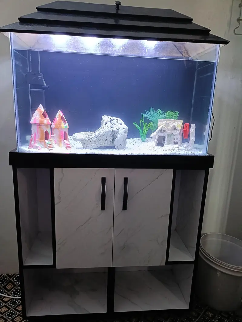 2.5 Feet Complete Aquarium| Fish Tank Setup with Cabinet |filter — photo 6
