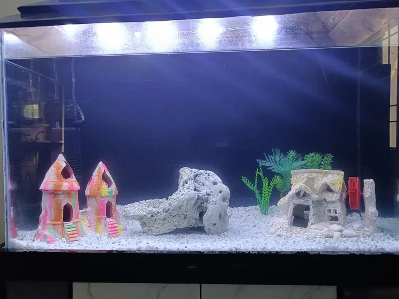 2.5 Feet Complete Aquarium| Fish Tank Setup with Cabinet |filter — photo 7