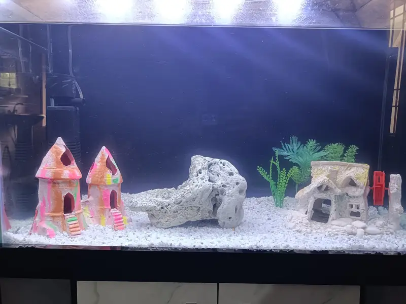 2.5 Feet Complete Aquarium| Fish Tank Setup with Cabinet |filter — photo 8
