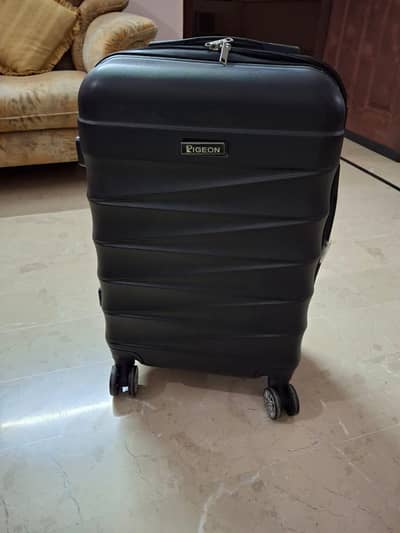 pigen hand carry bag