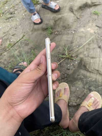 iPhone 7 Plus