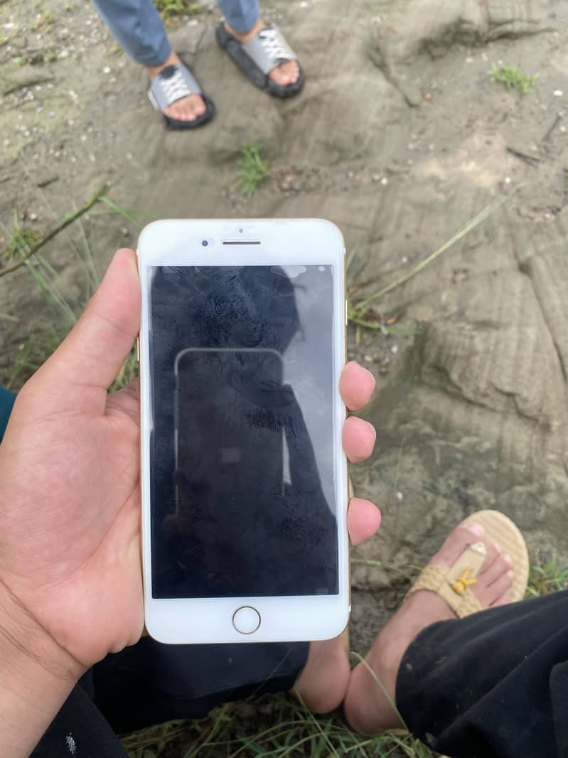 iPhone 7 Plus 4