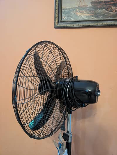 pedestal fan 24"