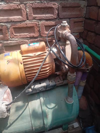 pamp for sale
