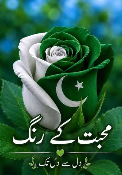 Abdul ghaffar raja 