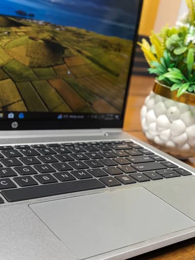 HP ProBook 445 G10 | AMD Ryzen 5 7530U (6 Cores) | 8GB RAM | 256GB SSD