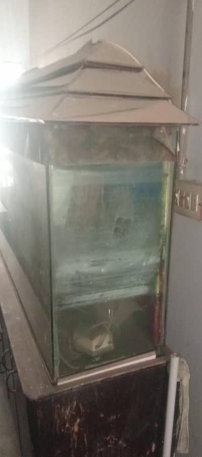 fish tank for sale